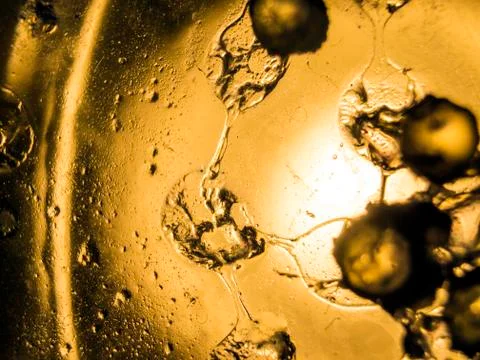 Water droplets Stock Photos