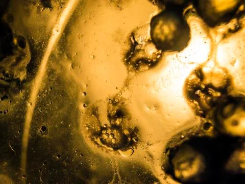 Water droplets Stock Photos