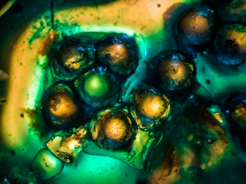 Water droplets Foto stock
