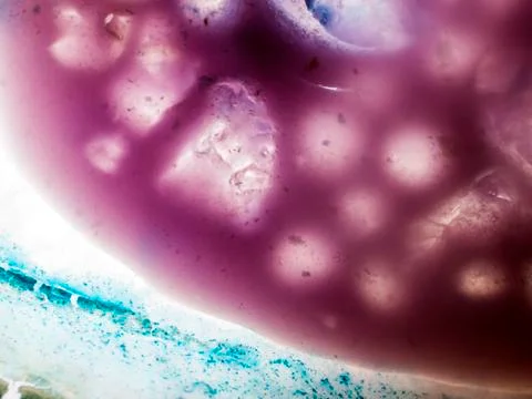 Water droplets Stock Photos
