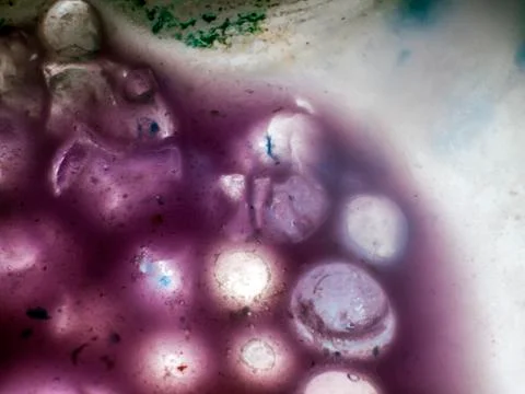 Water droplets Stock Photos