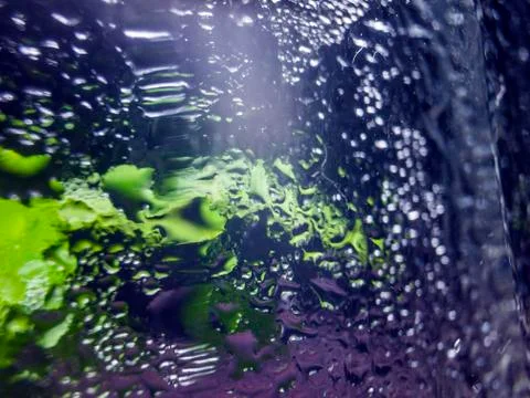 Water droplets Stock Photos
