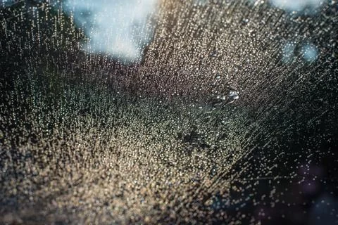 Water droplets Stock Photos