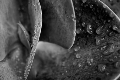 Water Droplets Foto stock
