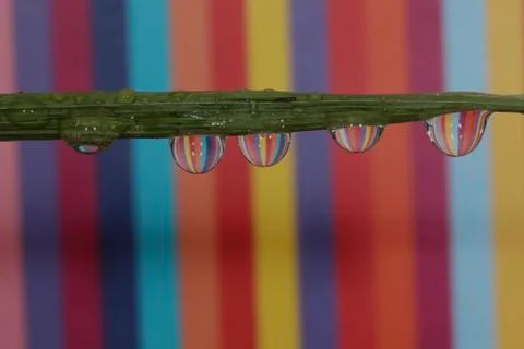 Water droplets Stock Photos