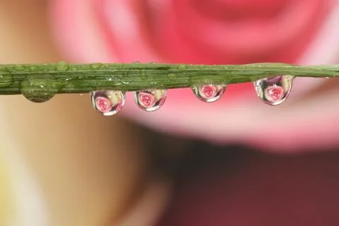 Water droplets Stock Photos