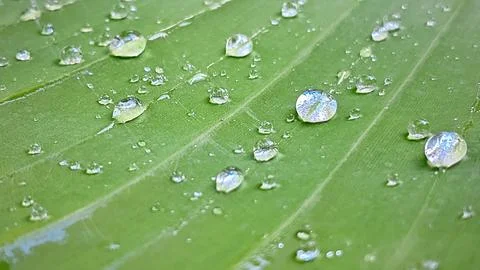 Water droplets Stock Photos