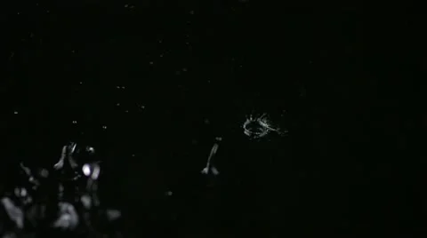 Water droplets in puddle, Slow Motion Stock Footage 10862220
