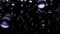 Water droplets rain close up falling DOF slow motion 4K 4k or 4k+ Resolution