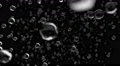 Water droplets rain close up falling DOF slow motion 4K 4k or 4k+ Resolution