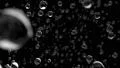 Water droplets rain close up falling DOF slow motion 4K 4k or 4k+ Resolution