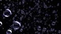 Water droplets rain close up falling DOF slow motion 4K 4k or 4k+ Resolution