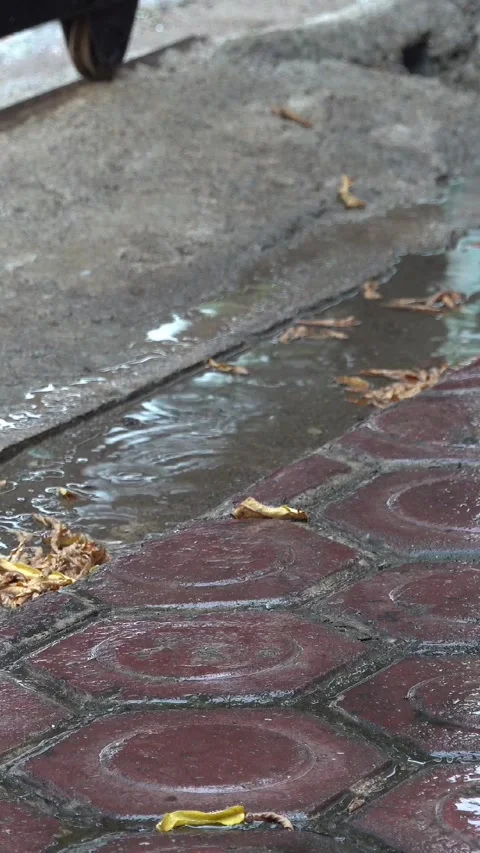 Water droplets splash in puddles during summer showers. Stock Footage 293901310