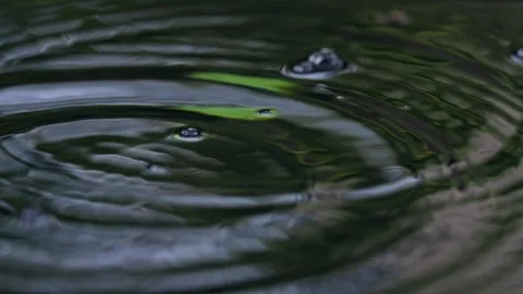 Water Droplets in Super Slow Motion on Reflective Pond Water surface Zen Splash Stock Footage 288038650