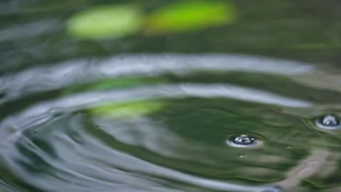 Water Droplets in Super Slow Motion on Reflective Pond Water surface Zen Splash Stock Footage 288038669