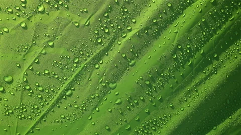 Water droplets texture Stock-Footage 166248402