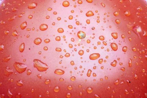 Water droplets on tomato . Stock Photos