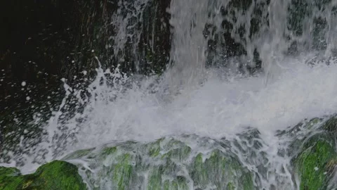 Water droplets from a waterfall gently fall onto green moss. Stock Footage 263920950