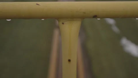 Water Droplets on Yellow Railing Stock Footage 148692158