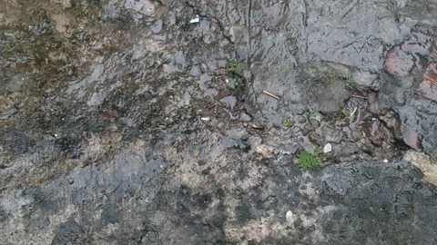 Water droplets2 Stock Footage 259642631