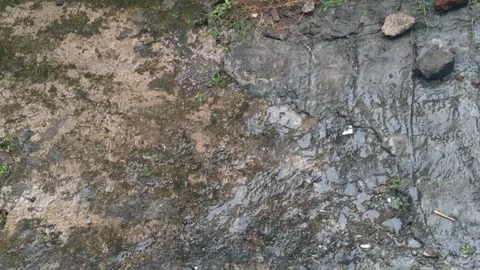 Water droplets3 Stock Footage 259643788