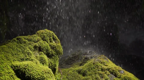 Water dropping onto mossy rocks Stock Footage