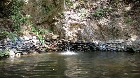 Water dropping in nature Stock Footage 78709747