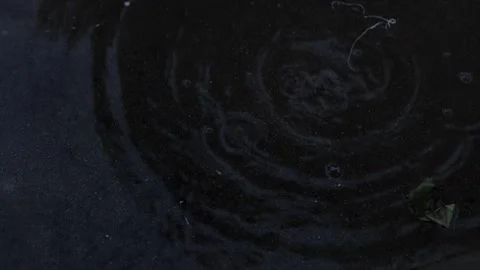 Water dropping into a shallow patch of water, dark and gloomy, 4k Stock Footage 250679348