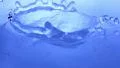 Water Drops 960fps 26 Slow Motion x32 HD Footage
