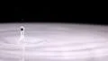 Water Drops 960fps 48 Slow Motion x32 HD Footage