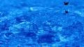 Water Drops 96fps 07 Slow Motion x3 HD Footage