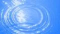 Water Drops and Ripples 25 Slow Motion Loop HD Footage