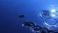 Water Drops and Ripples 30 Slow Motion Loop HD Footage