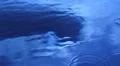 Water Drops and Ripples 45 Slow Motion Loop HD Footage