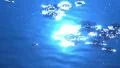 Water Drops and Ripples 480fps 03 Slow Motion x16 HD Footage