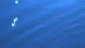 Water Drops and Ripples 960fps 06 Slow Motion x32 HD Footage