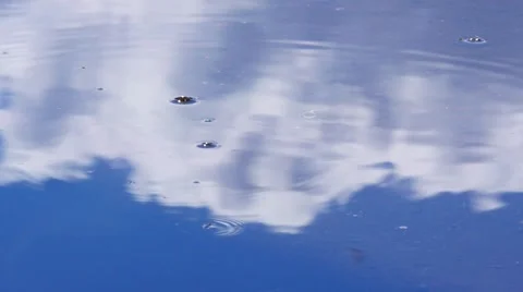 Water drops and ripples Stock Footage 49734546