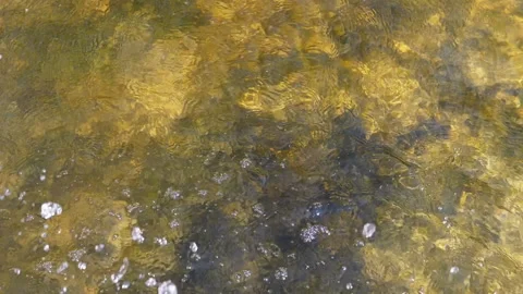 Water Drops and Ripples Stock Footage 293259207