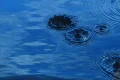 Water Drops and Ripples HS 13 Loop Slow Motion x7 Footage
