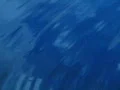 Water Drops and Ripples HS 09 Loop Slow Motion x7 Web Footage