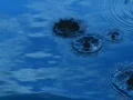 Water Drops and Ripples HS 13 Loop Slow Motion x7 Web Footage