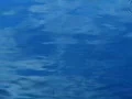 Water Drops and Ripples HS 14 Slow Motion x20 Web Footage