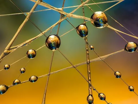 Water drops on an artificial spiderweb. Dynamic colorful background, abstra.. Stock Photos