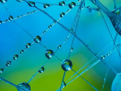 Water drops on an artificial spiderweb. Dynamic colorful background, abstra.. Stock Photos