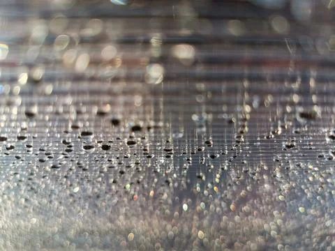 Water Drops Background. Dew inside of polycarbonate greenhouse. Stock Photos