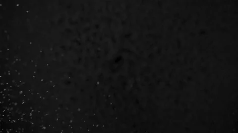 Water drops on the black background Stock Footage 117519032