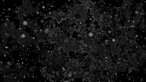 Water Drops On Black Background Stock Footage 321550015