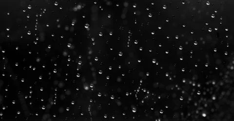 Water drops on black background, texture, bokeh in the background Foto stock