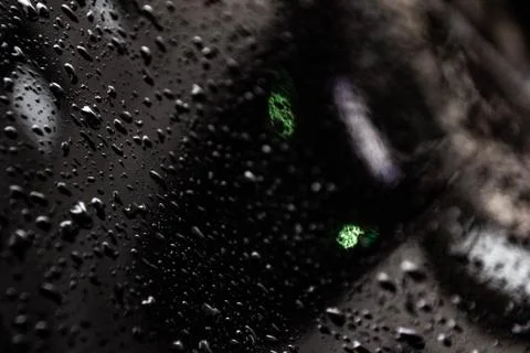 Water drops on black Stock Photos