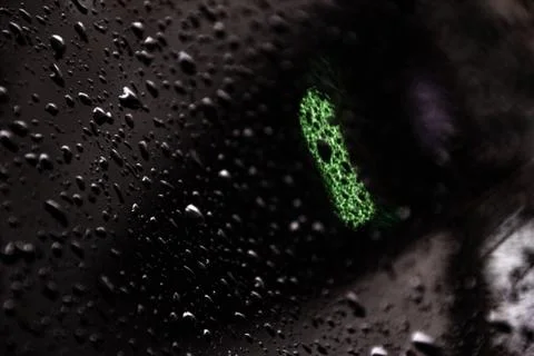 Water drops on black Stock Photos